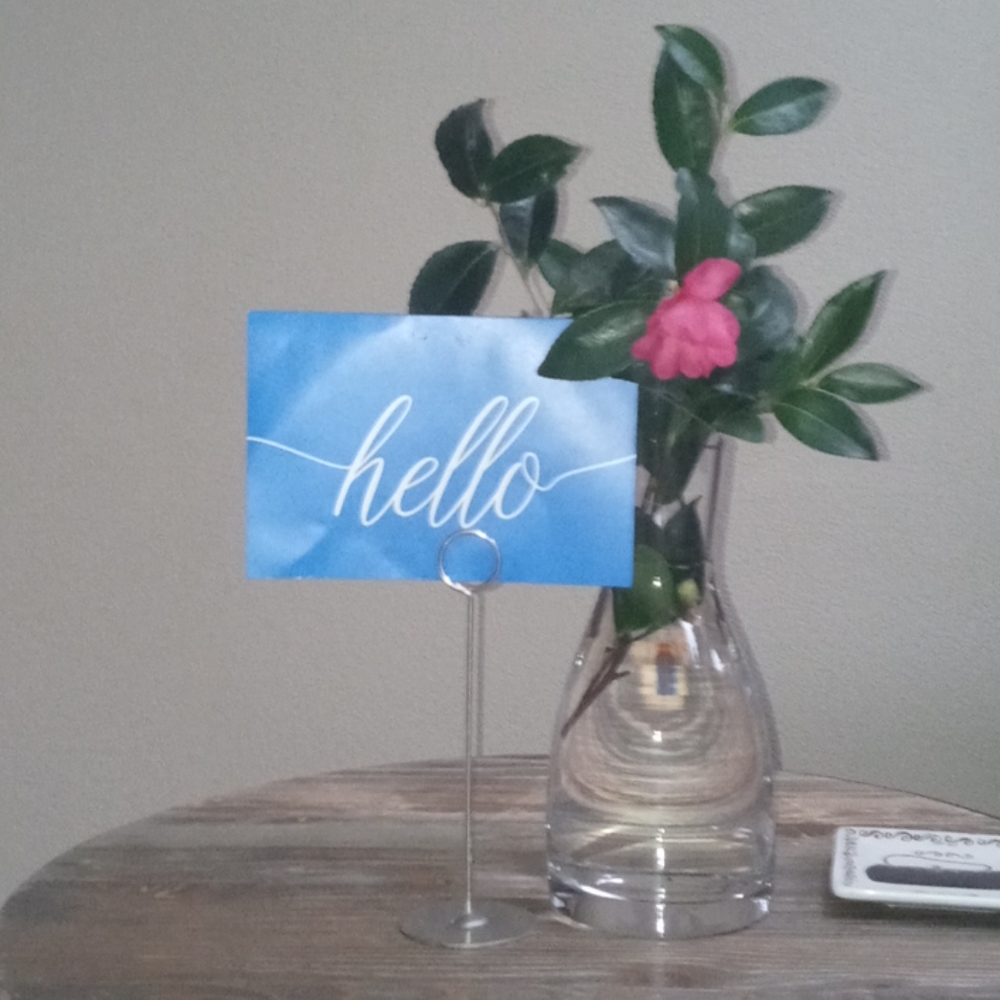 Meet your Posher, Betsy